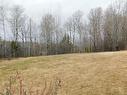 113 Third Street, Dryden, ON 
