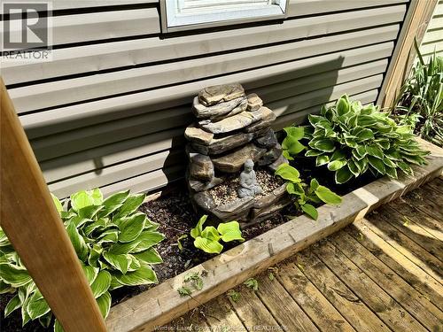 160 Michael, Lakeshore, ON - Outdoor