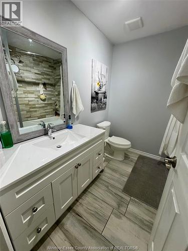 160 Michael, Lakeshore, ON - Indoor Photo Showing Bathroom