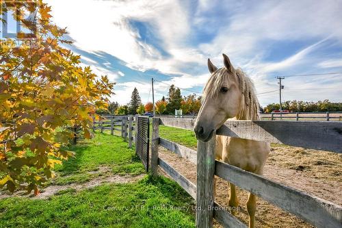 465 Ridge Road E, Oro-Medonte, ON - Outdoor