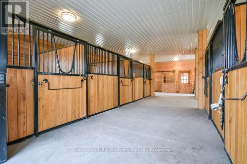 5 Stalls - 465 Ridge Road E, Oro-Medonte, ON - Indoor
