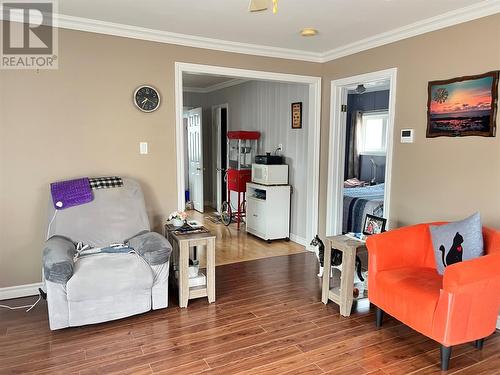 233 Main Street, Springdale, NL - Indoor Photo Showing Living Room
