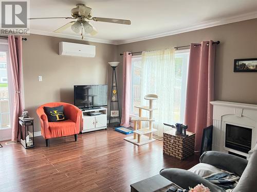 233 Main Street, Springdale, NL - Indoor Photo Showing Living Room With Fireplace