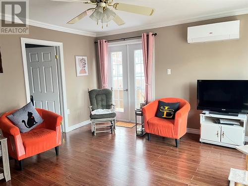 233 Main Street, Springdale, NL - Indoor Photo Showing Living Room