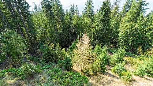 7666 Lichen Road, Anglemont, BC - Outdoor