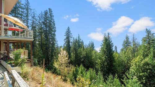 7666 Lichen Road, Anglemont, BC - Outdoor With View