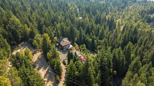 7666 Lichen Road, Anglemont, BC - Outdoor With View