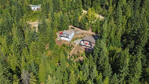 7666 Lichen Road, Anglemont, BC - Outdoor With View