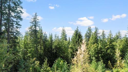 7666 Lichen Road, Anglemont, BC - Outdoor With View
