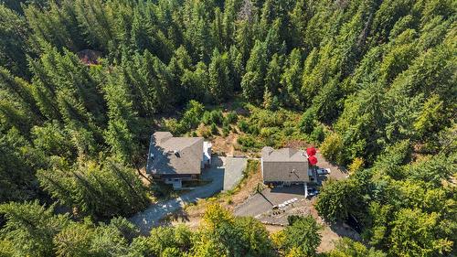 7666 Lichen Road, Anglemont, BC - Outdoor With View