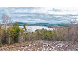 Lot 6-1191 Route 785  Utopia, NB E5C 2L3