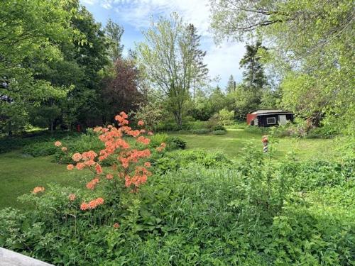 80 Appalosa Trail, Bayhead, NS 