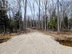 Lot 9 Fruchey Street Kagawong, ON P0P 1J0
