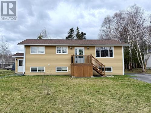 17 Second Avenue, Pasadena, NL - Outdoor