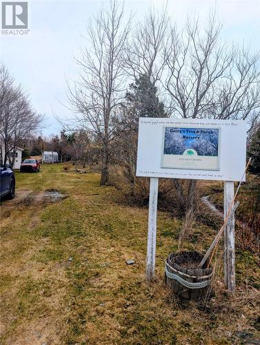 3 Smith'S Lane, Durrell, NL - Outdoor With View