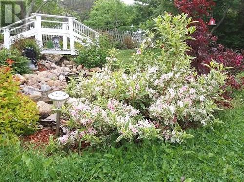 3 Smith'S Lane, Durrell, NL - Outdoor