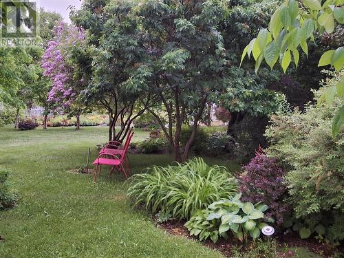 3 Smith'S Lane, Durrell, NL - Outdoor