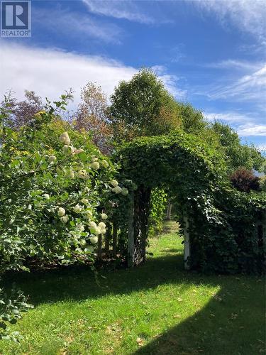 3 Smith'S Lane, Durrell, NL - Outdoor