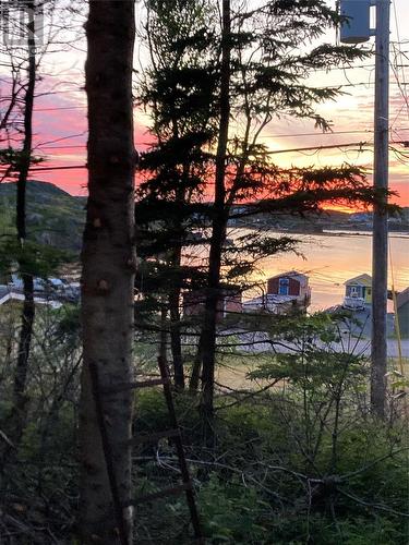 3 Smith'S Lane, Durrell, NL - Outdoor With View