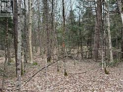 LOT 1 LOCH ERNE ROAD Mcdougall, ON P2A 2W7