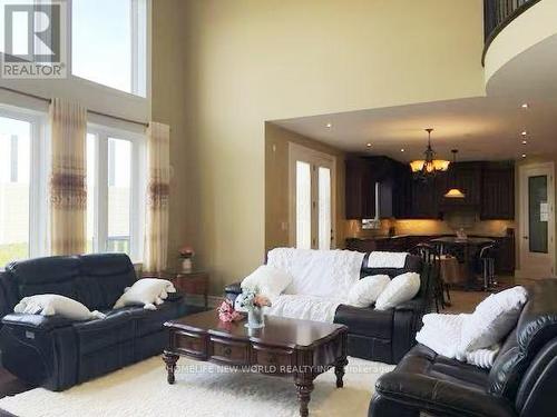 106 Paige Street, Kitchener, ON - Indoor Photo Showing Living Room