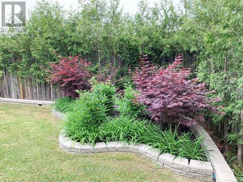 106 Paige Street, Kitchener, ON - Outdoor