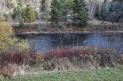 Bord de l'eau - 