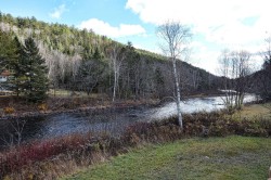 Bord de l'eau - 