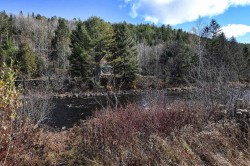 Bord de l'eau - 