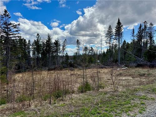 Lot Slopeside Lane, Central Hainesville, NB 