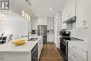 396 Ventoux Avenue, Ottawa, ON  - Indoor Photo Showing Kitchen With Double Sink With Upgraded Kitchen 