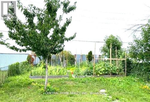 59 Blaney Crescent, Toronto, ON - Outdoor