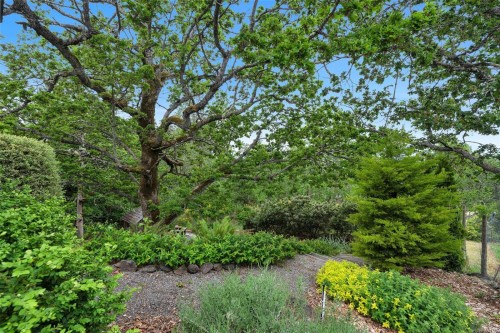 6250 Lower Chippewa Rd, Duncan, BC 