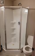 Corner shower enclosure with glass doors and chrome hardware - 