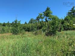 Lot 22-4 Little Harbour Road  Frasers Mountain, NS B2H 3T5