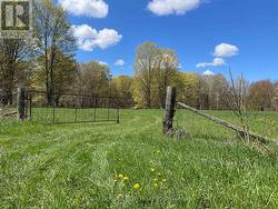 0 CONCESSION 4W ROAD Brockton, ON N0G 2V0