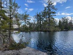 164 HILL DRIVE  Trent Lakes, ON K0L 1J0