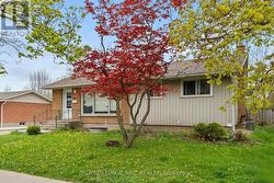 LOWER - 51 JACOBSON AVENUE  St. Catharines, ON L2T 3A1