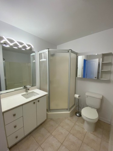 Bathroom - 706-505 Rue St-Francois, Brossard, QC - Indoor Photo Showing Bathroom