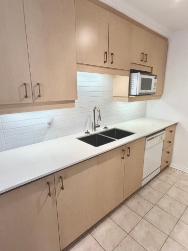 Kitchen - 706-505 Rue St-Francois, Brossard, QC - Indoor Photo Showing Kitchen With Double Sink