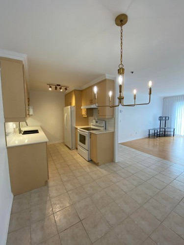 Kitchen - 706-505 Rue St-Francois, Brossard, QC - Indoor Photo Showing Kitchen