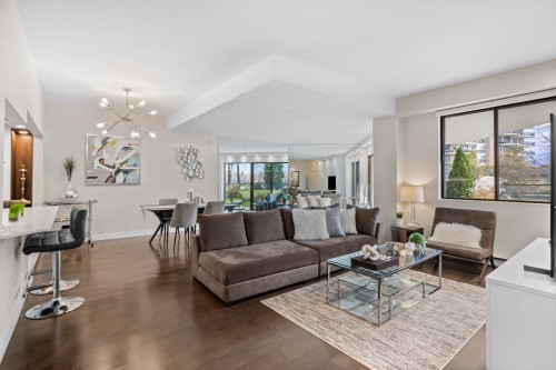 Salon - 109-4520 Prom. Paton, Laval (Chomedey), QC - Indoor Photo Showing Living Room