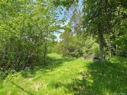 Lot Route 134  Shediac Cape, NB E4P 3G9