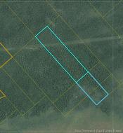 31 acres off Dunphy RD  Miramichi, NB E1N 0B4