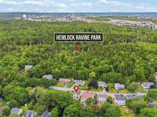42 Lodge Drive, Halifax, NS 