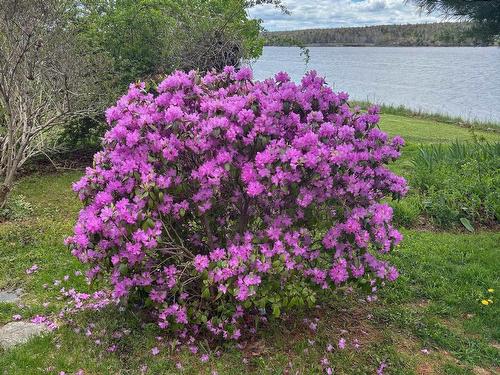 22676 Highway 7, Sheet Harbour, NS 