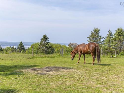 48 Rogers Road, Scots Bay, NS 