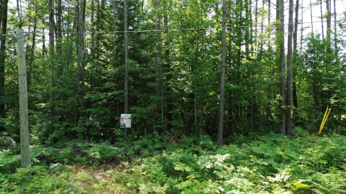 Terre/Terrain - Ch. De L'Opale, Notre-Dame-Du-Laus, QC 