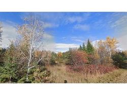 Lot Laurenzo Huard ST  Saint-Jean-Baptiste-De-Restigouche, NB E8B 1Y6