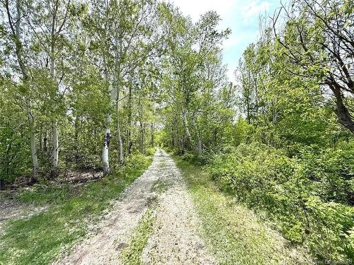 1530 Rue Chatillon, Maisonnette, NB 